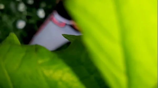 I spy on my neighbor masturbating in the daisies - Girls fly orgasm